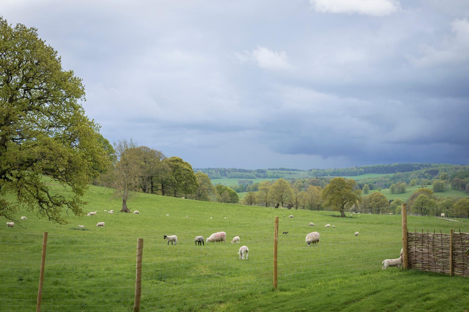 Woodlands Shepherds Hutchatsworth Estate Villa Baslow Exterior foto